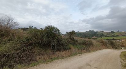 Terrain à Vila Verde dos Francos de 14 040 m²