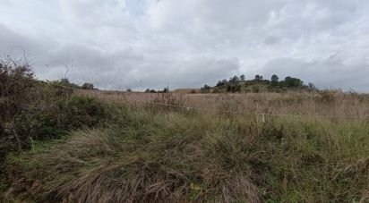 Terrain à Vila Verde dos Francos de 14 040 m²