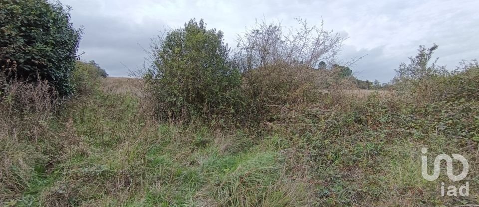 Land in Vila Verde dos Francos of 14,040 m²
