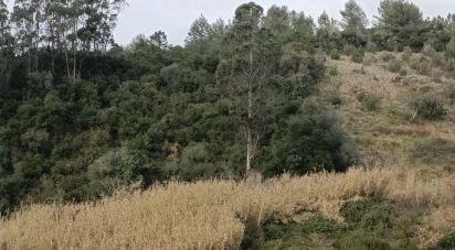 Terrain à Vila Verde dos Francos de 2 520 m²