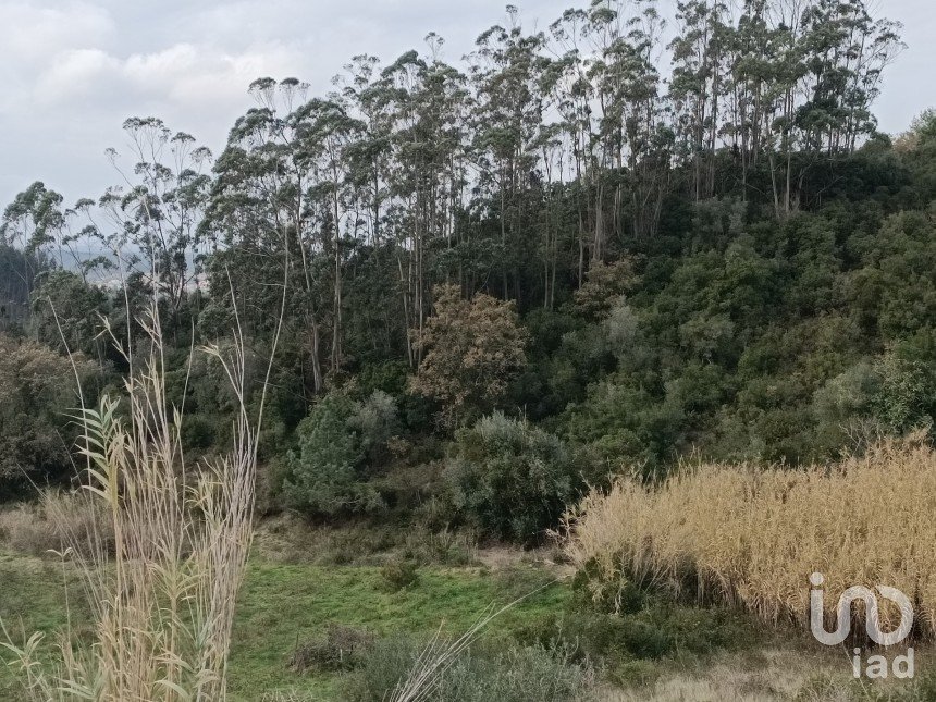 Land in Vila Verde dos Francos of 2,520 m²