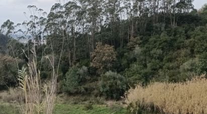 Terrain à Vila Verde dos Francos de 2 520 m²