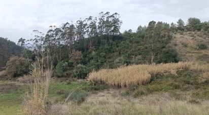 Terrain à Vila Verde dos Francos de 2 520 m²