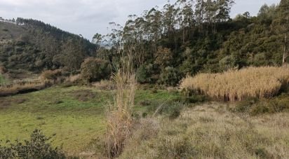 Terrain à Vila Verde dos Francos de 2 520 m²