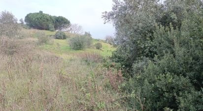 Terrain à Vila Verde dos Francos de 2 520 m²