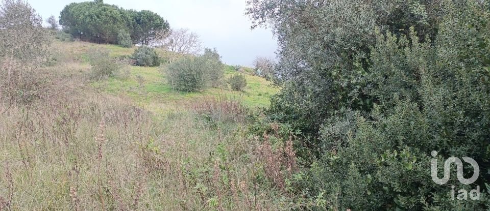 Land in Vila Verde dos Francos of 2,520 m²