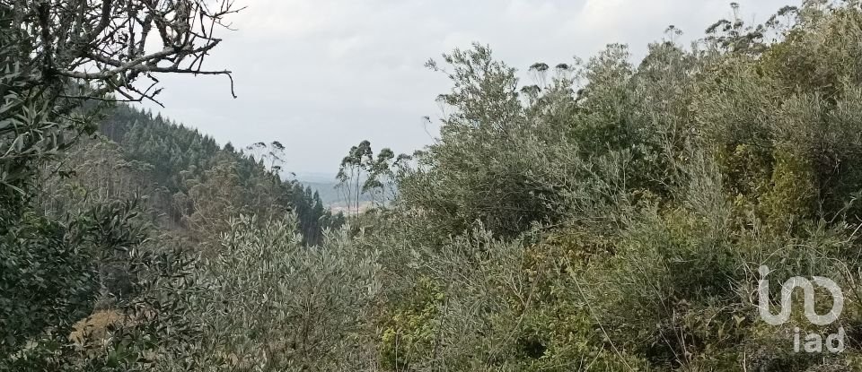 Land in Vila Verde dos Francos of 2,520 m²