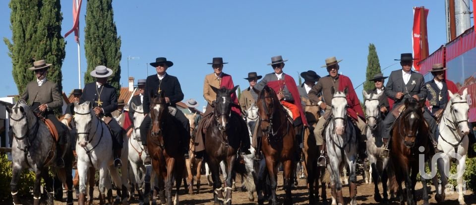 Land in Azinhaga of 375 m²