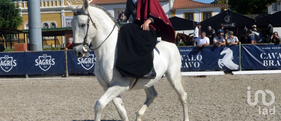 Land in Azinhaga of 375 m²