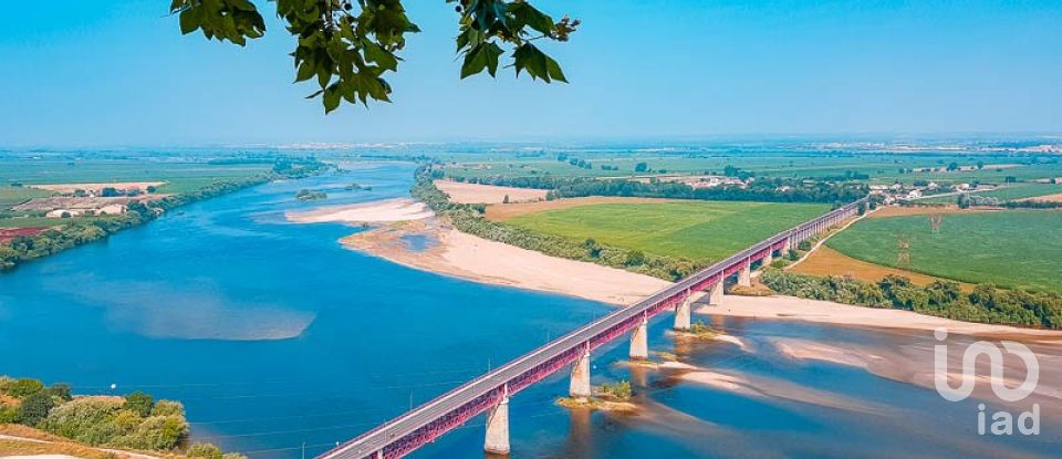 Land in Azinhaga of 375 m²