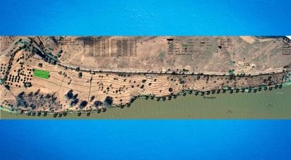 Terrain à Alcoutim e Pereiro de 105 800 m²