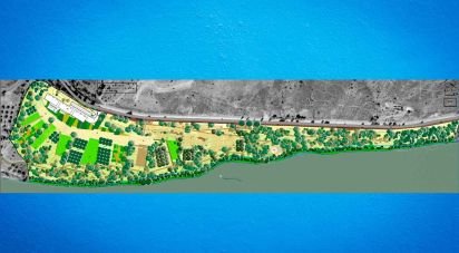 Terrain à Alcoutim e Pereiro de 105 800 m²