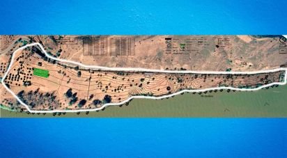 Terrain à Alcoutim e Pereiro de 105 800 m²