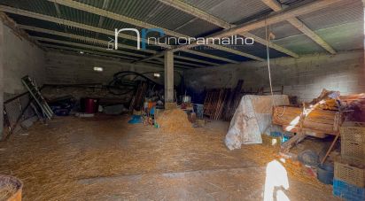 Land in Alto do Palurdo of 4,179 m²