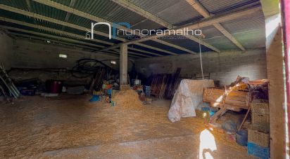 Land in Alto do Palurdo of 4,179 m²