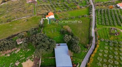 Land in Alto do Palurdo of 4,179 m²