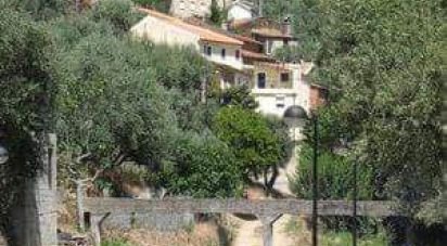 Maison T4 à Sobreira Formosa e Alvito da Beira de 121 m²