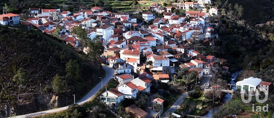 Maison T4 à Sobreira Formosa e Alvito da Beira de 121 m²