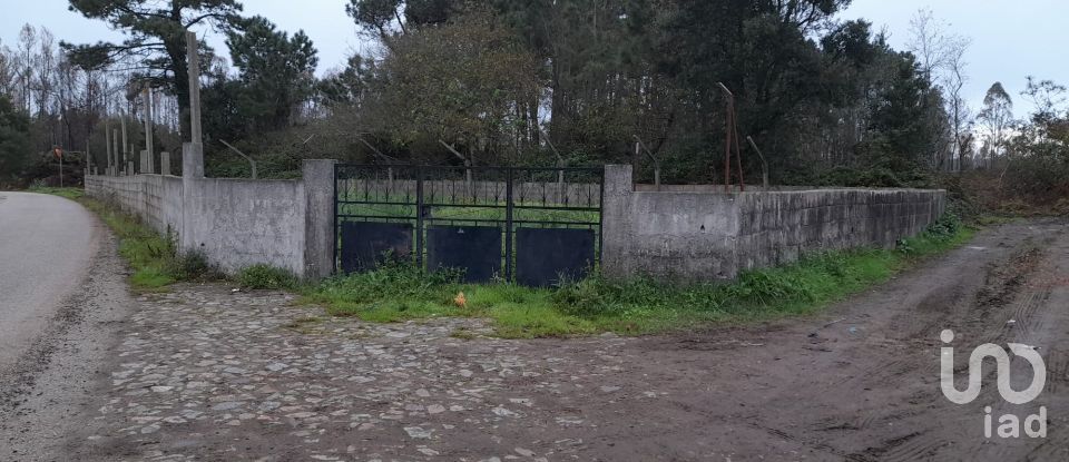 Land in Estela of 500 m²