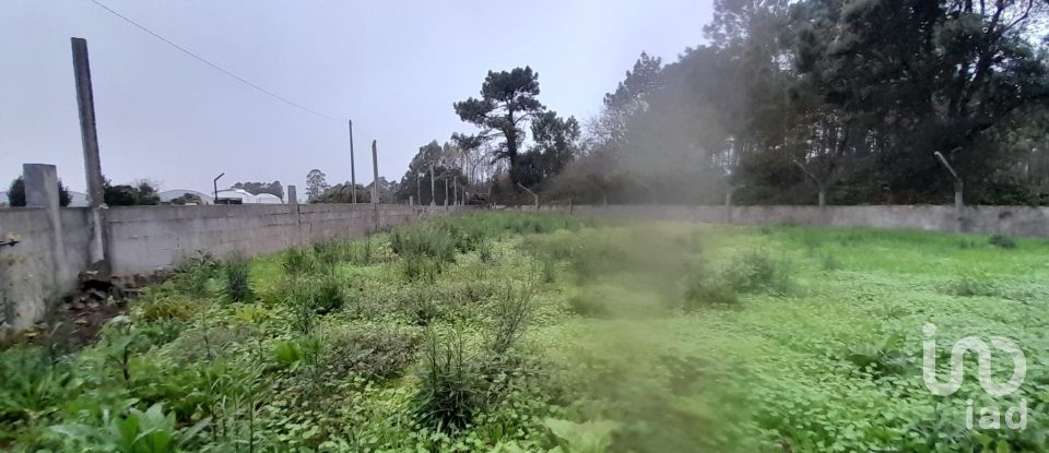 Land in Estela of 500 m²