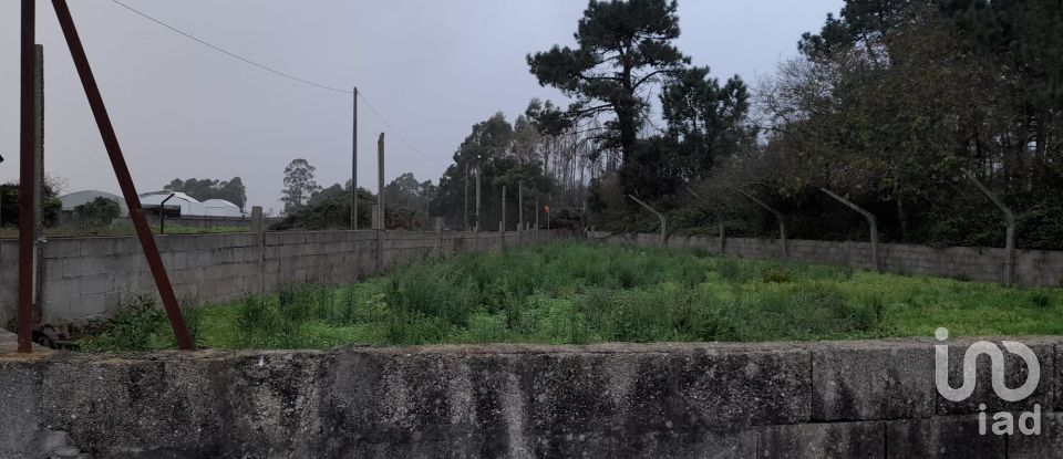 Land in Estela of 500 m²