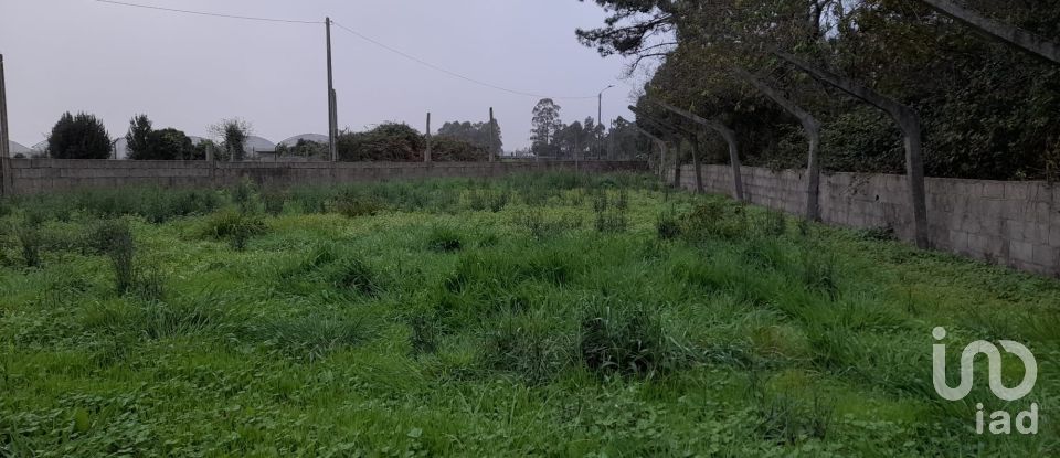Land in Estela of 500 m²
