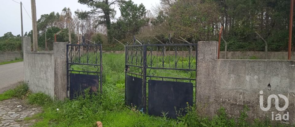 Land in Estela of 500 m²