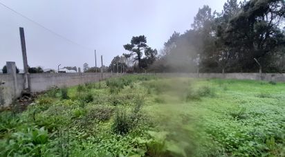 Terrain à Estela de 500 m²