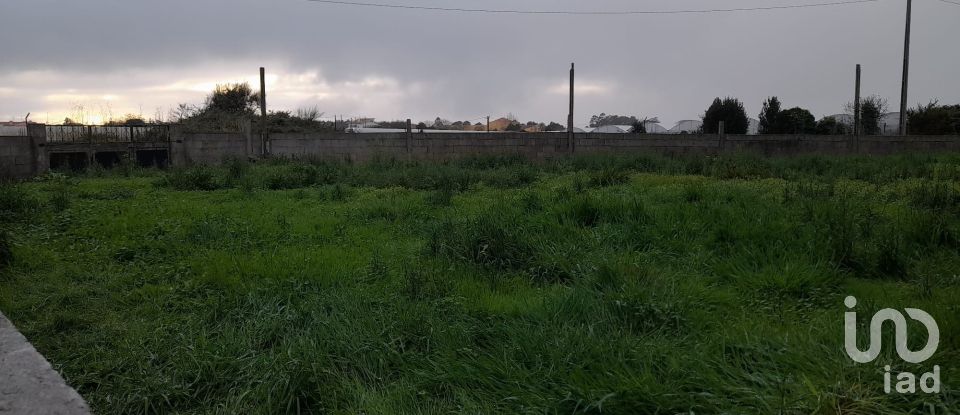 Land in Estela of 500 m²
