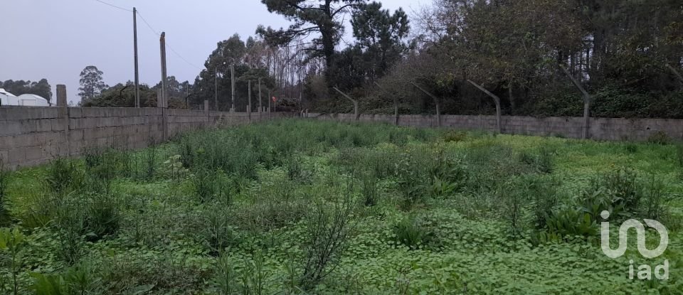 Land in Estela of 500 m²