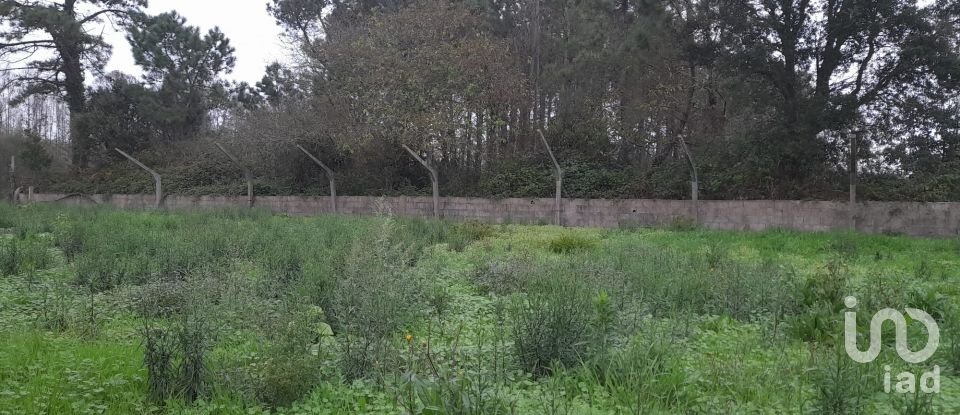 Land in Estela of 500 m²