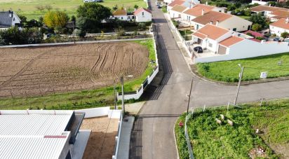 Terrain à Alpiarça de 477 m²