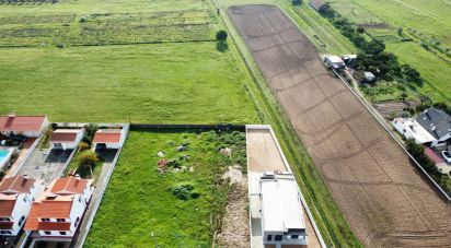 Terrain à Alpiarça de 477 m²