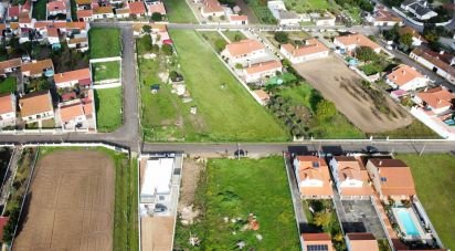 Terrain à Alpiarça de 477 m²