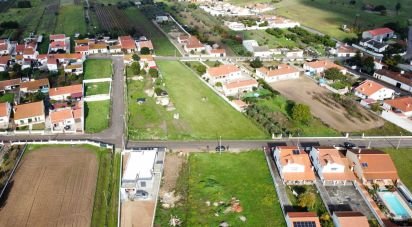 Terrain à Alpiarça de 477 m²