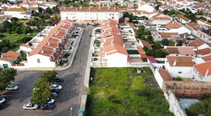 Terrain à Alpiarça de 276 m²