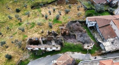 Maison T0 à Alvares de 575 m²