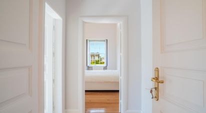 Ferme T10 à Ferreiros, Prozelo E Besteiros de 976 m²