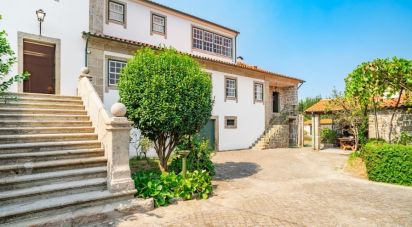 Ferme T10 à Ferreiros, Prozelo E Besteiros de 976 m²