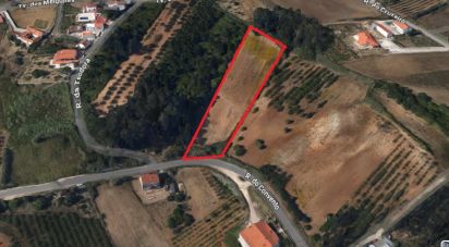 Terrain à Salir de Matos de 4 623 m²