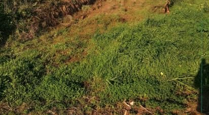 Terrain à Salir de Matos de 4 623 m²