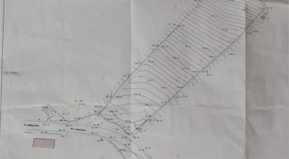 Terrain à Salir de Matos de 4 623 m²