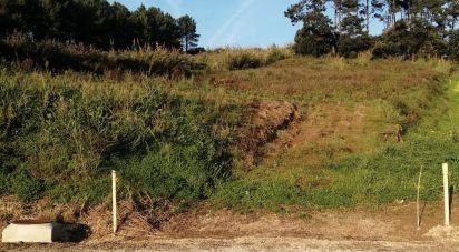 Terrain à Salir de Matos de 4 623 m²