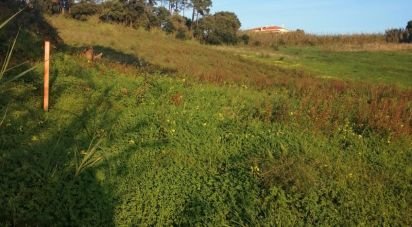 Terrain à Salir de Matos de 4 623 m²