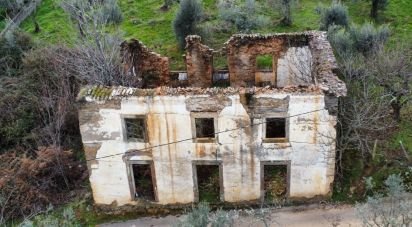 Maison T0 à Alvares de 220 m²