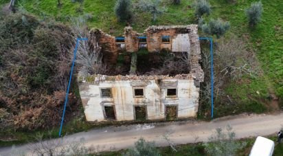 Maison T0 à Alvares de 220 m²