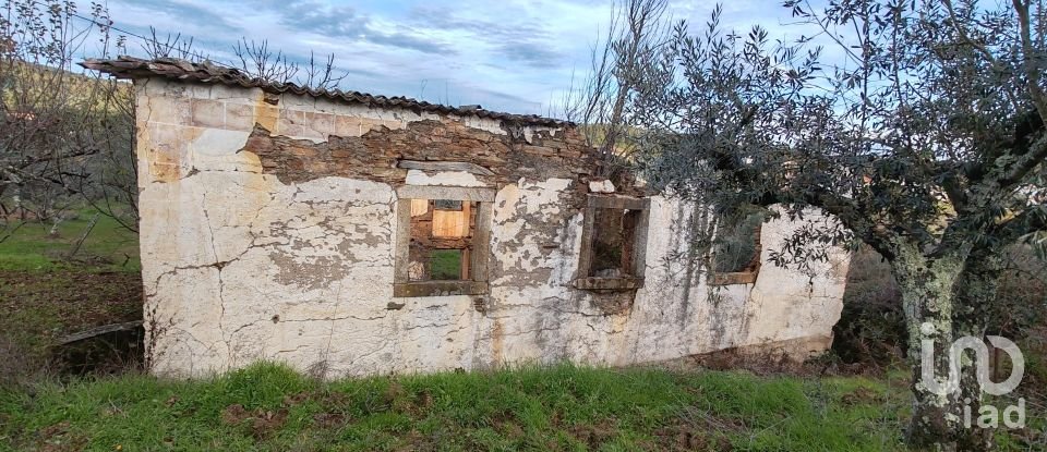 Moradia T0 em Alvares de 220 m²