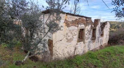 Maison T0 à Alvares de 220 m²