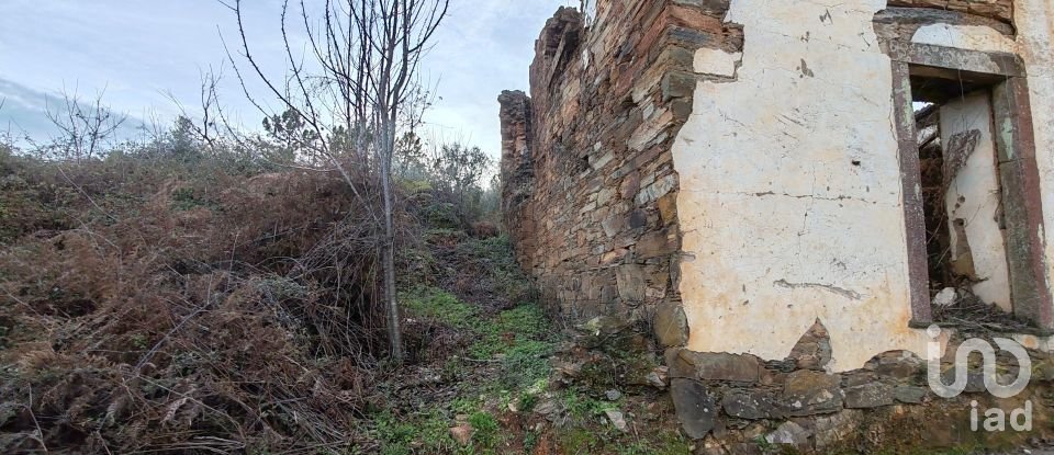 Moradia T0 em Alvares de 220 m²