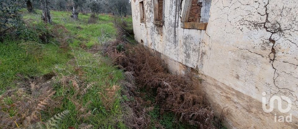 Moradia T0 em Alvares de 220 m²